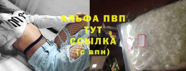 спиды Новозыбков