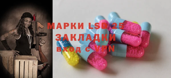 индика Новокубанск