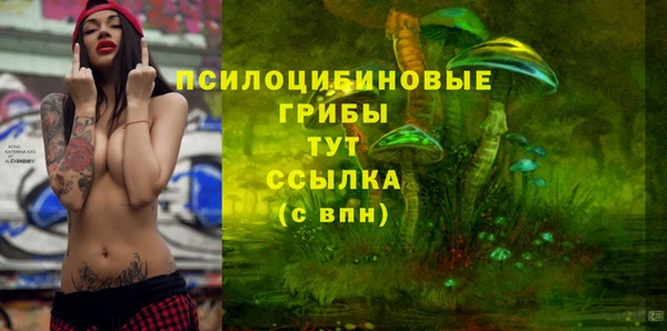 спиды Новозыбков