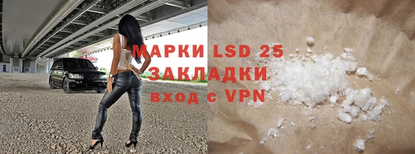индика Новокубанск