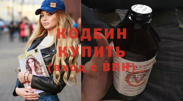 амф Няндома