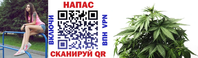 купить  сайты  Райчихинск  kraken   darknet официальный сайт  Канабис сатива 